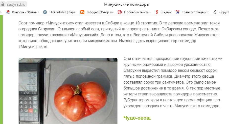Сердце минусинска томат характеристика и описание сорта фото